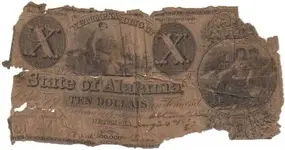 10 dollar bill.webp