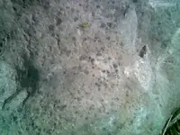 Kuva002.webp