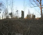 100_0029.webp