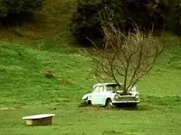tree_car.webp