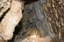 1 Site 2-11 little.webp