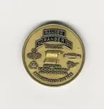 Ranger Coin.webp