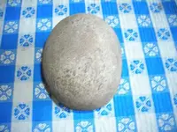 DSCN2087.webp
