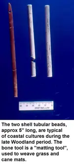 tubular 1b.webp
