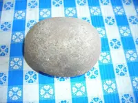 DSCN2086.webp