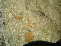 pictures 030.webp