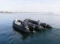 marine photo.webp