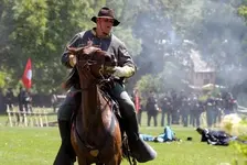 Horse.webp