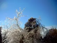 reachingtothesky.webp
