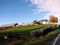 rte 142 011.webp