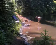 splash 2.webp