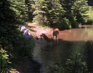 splashing.webp