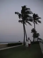 Palm Beach 08.30.7.webp