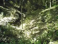 pictures 048.webp