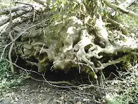 pictures 052.webp