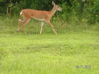 PICT0036.webp