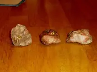 P1010001.webp