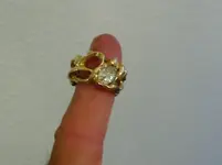 P1010015.webp