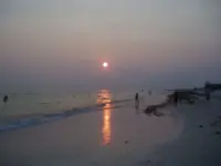 P1010004.webp