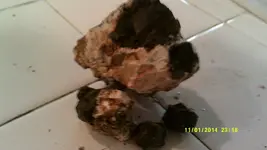 DSCF0288.webp