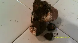 DSCF0292.webp