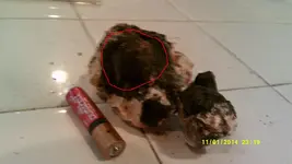 DSCF0294.webp