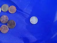 Silver coin at the park 004 (Custom).webp