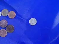 Silver coin at the park 005 (Custom).webp