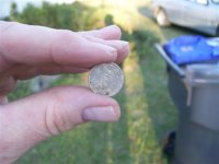 Silver coin at the park 006 (Custom).jpg