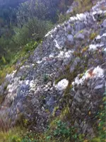 image-1323389932.webp