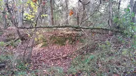 ForumRunner_20141022_170300.webp