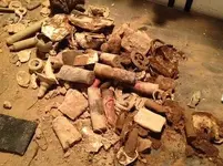 Junk.webp