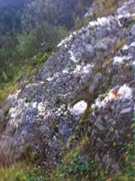 image-3503488541.webp