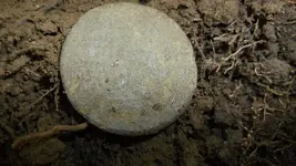 DSCF1345.webp