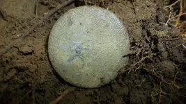 DSCF1347.webp