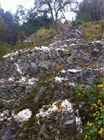 image-2411737098.webp