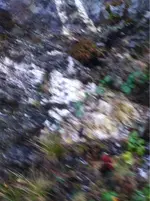 image-2176977165.webp