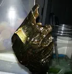 20141014_173143.webp