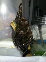 20141014_173204.webp