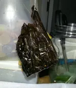 20141014_173157.webp