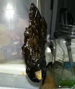 20141014_173209.webp