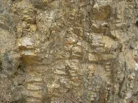 vein 5-17-14 008_3_2.webp