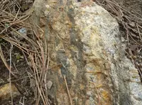 vein 5-17-14 015_2_2.webp