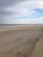 image-1507224982.webp
