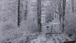 125_3771.webp