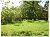 SDC19866.webp
