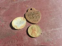 dog tag 3.webp