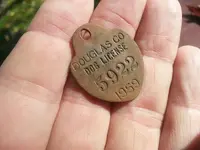 dog tag 4.webp