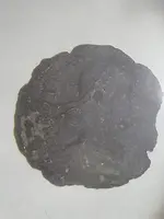 a roman.webp