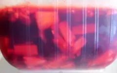 coke2.webp